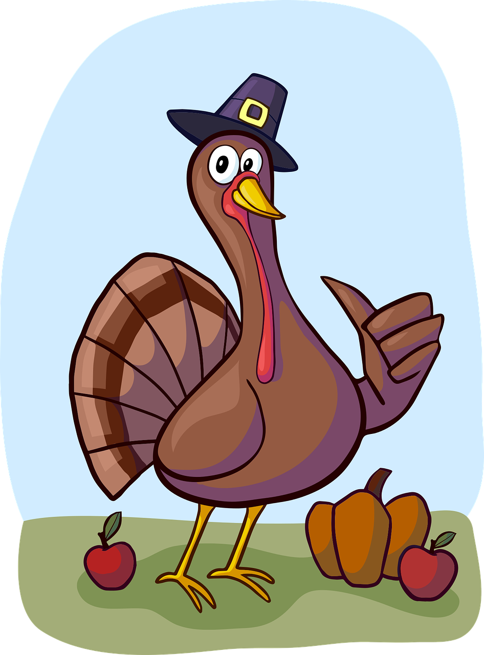 turkey, bird, thanksgiving-1456681.jpg